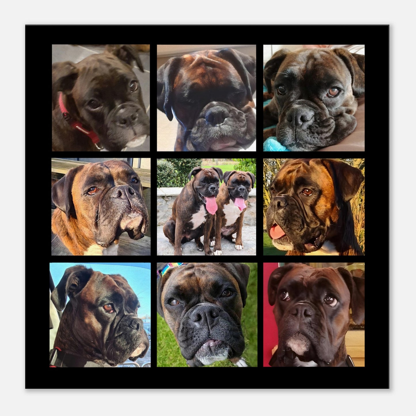 8add66bf-6ca4-490a-b9f5-beaa5903d8f5