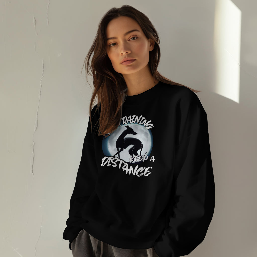 In Training - Italian Greyhound/Whippet In Moonlight. Front And Back Print. Classic Unisex Crewneck Sweatshirt | Gildan® 18000