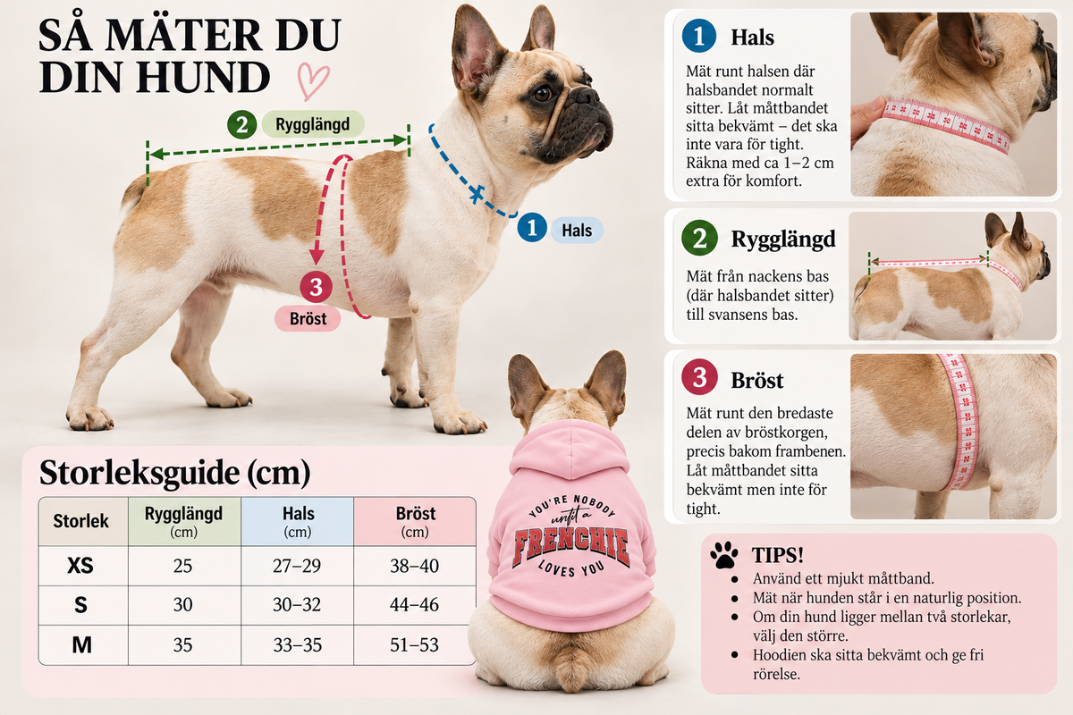 You're Nobody, Until A Frenchie Loves You – Premium Dog Hoodie