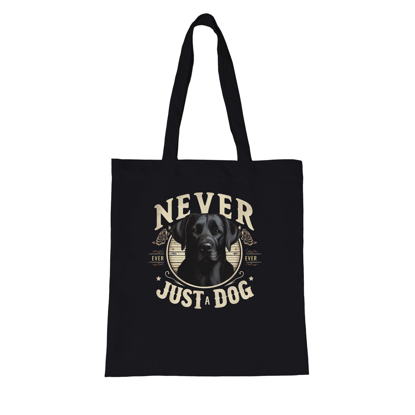 c64051ab-ae3a-4a6a-8647-88031eee118f