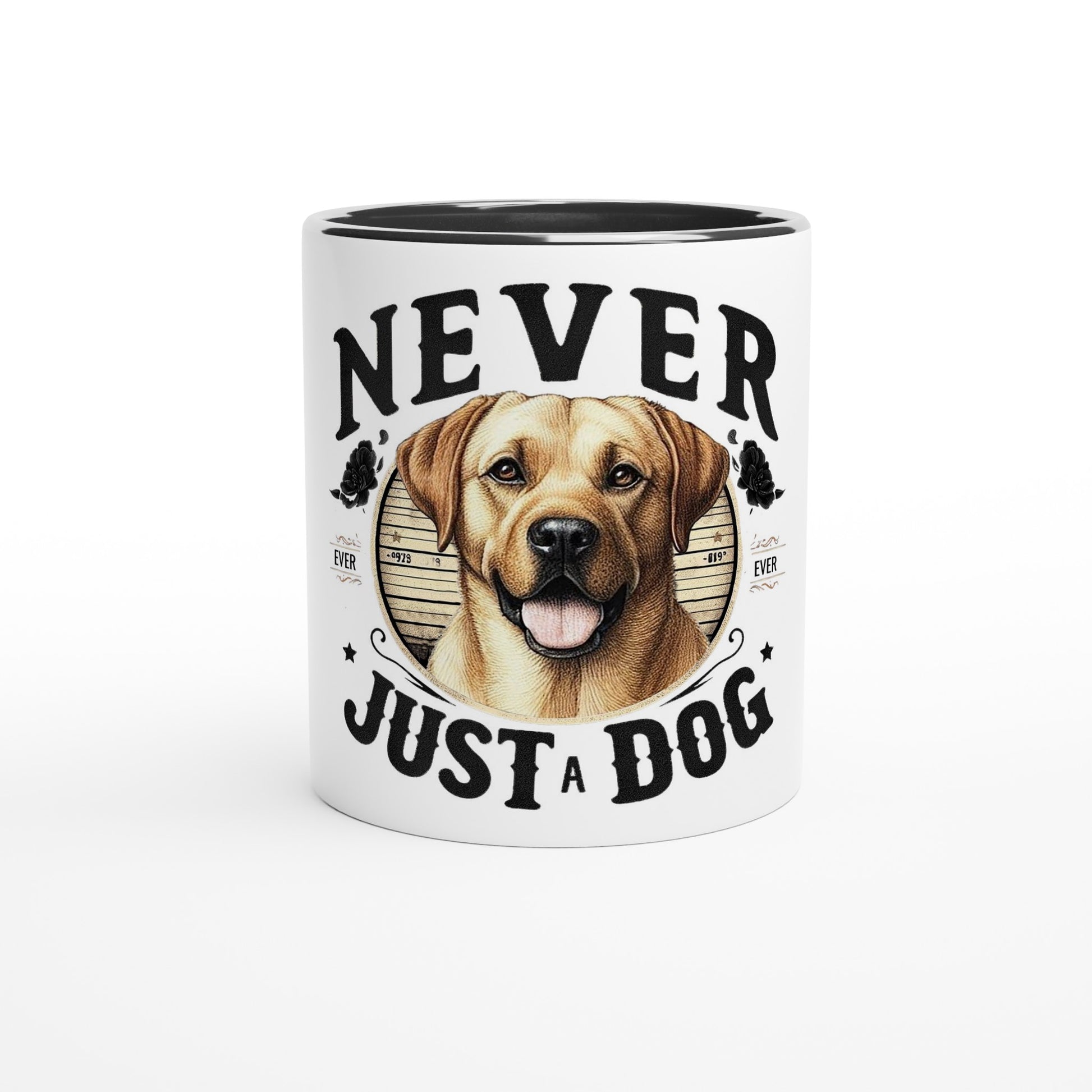 00961566-5743-4dff-8ef8-7fc4475c5afd