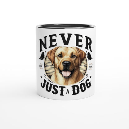 00961566-5743-4dff-8ef8-7fc4475c5afd