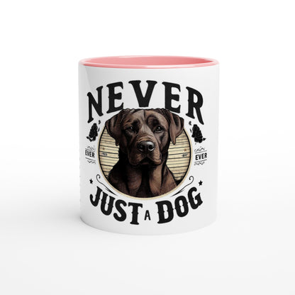 0d7ef390-ce60-489f-9aa5-ccdea9dfef65