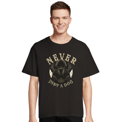 10df94b1-c3b5-42d0-8771-ebcd500621c7