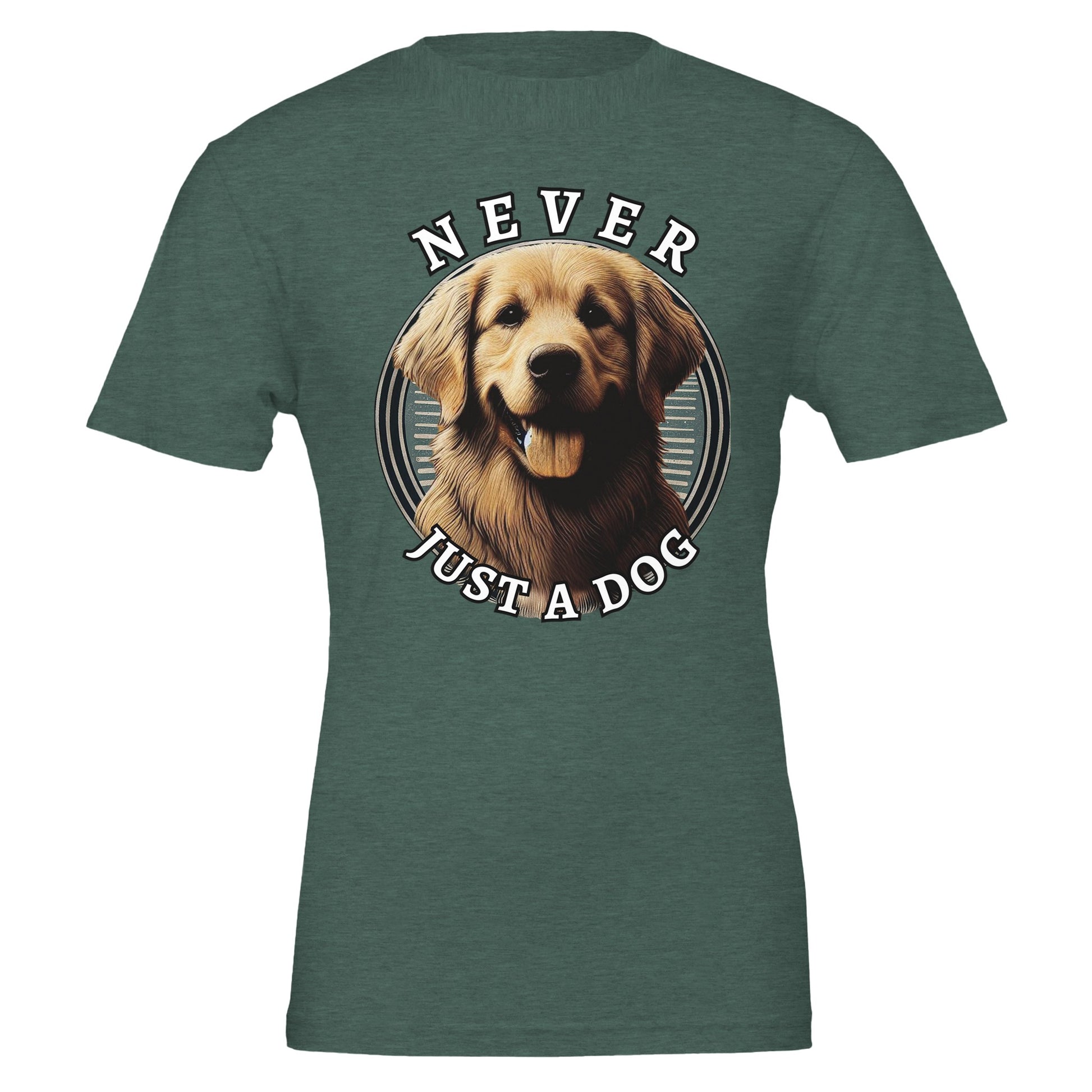 1181d039-78b7-4dc0-99f5-bd35ee00df01