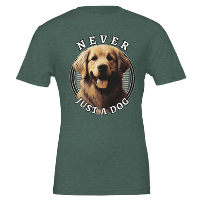 1181d039-78b7-4dc0-99f5-bd35ee00df01