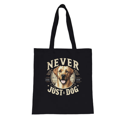 19c11dd7-f888-4b5d-958d-ae877bd7fc63