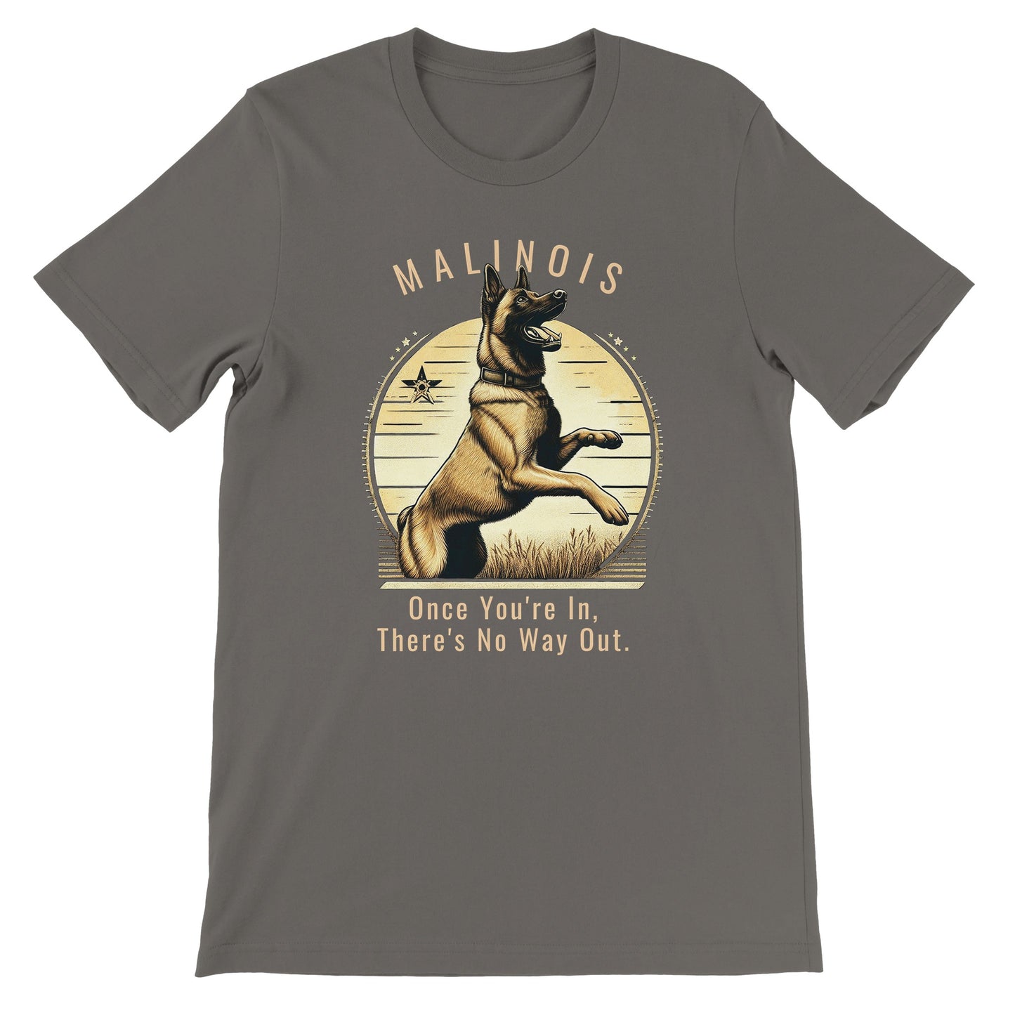 1cc8b74f-6d2f-4057-bef8-de6e4c6a36f5