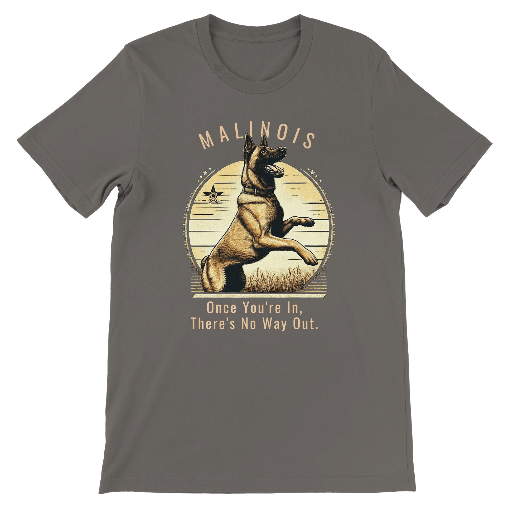 1cc8b74f-6d2f-4057-bef8-de6e4c6a36f5