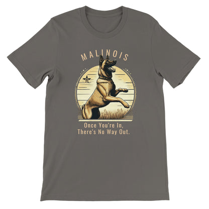 1cc8b74f-6d2f-4057-bef8-de6e4c6a36f5