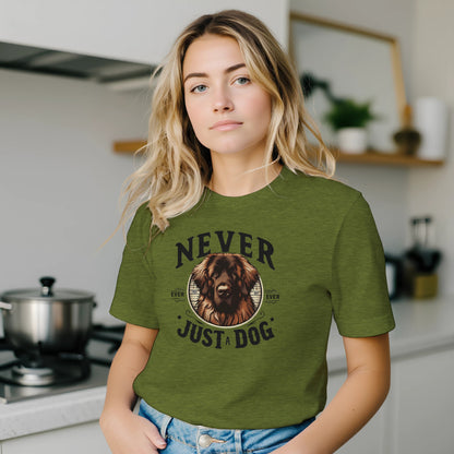 1ecb82dd-6db6-435d-83e7-c1f5cf8986e1