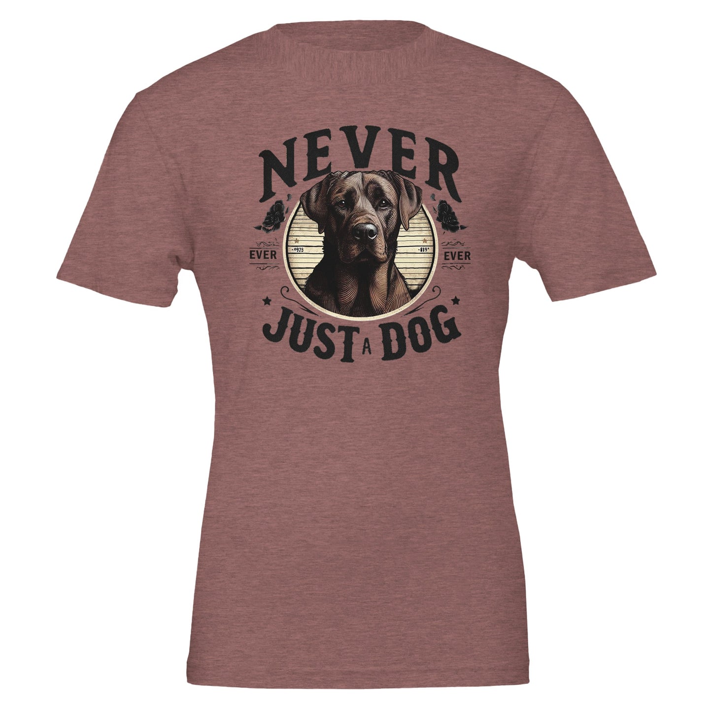 210c9db6-0ea8-4561-a523-35570140d45c