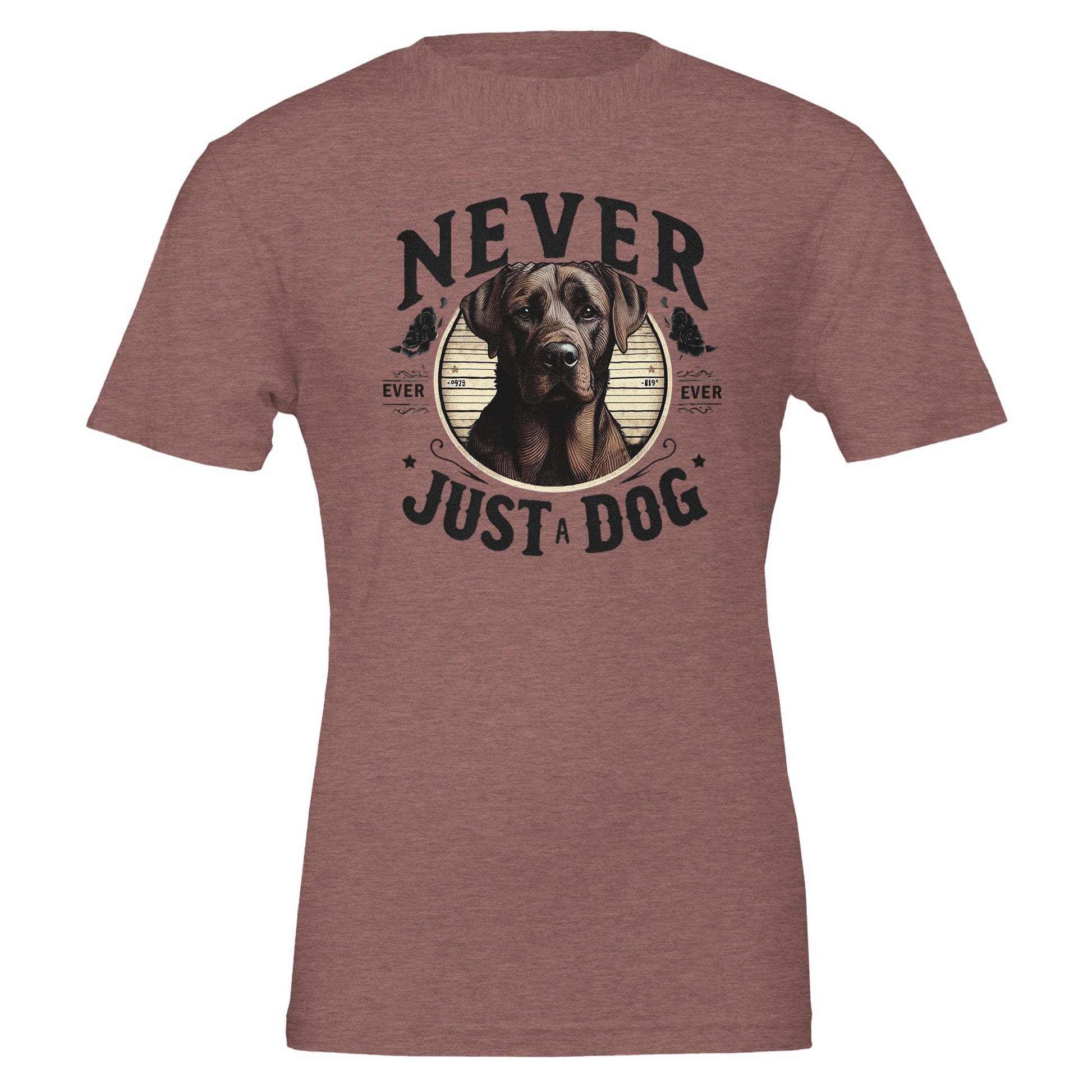 210c9db6-0ea8-4561-a523-35570140d45c