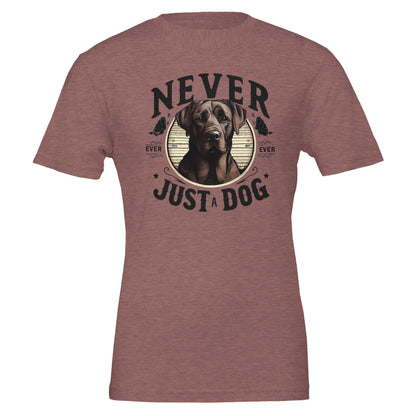 210c9db6-0ea8-4561-a523-35570140d45c