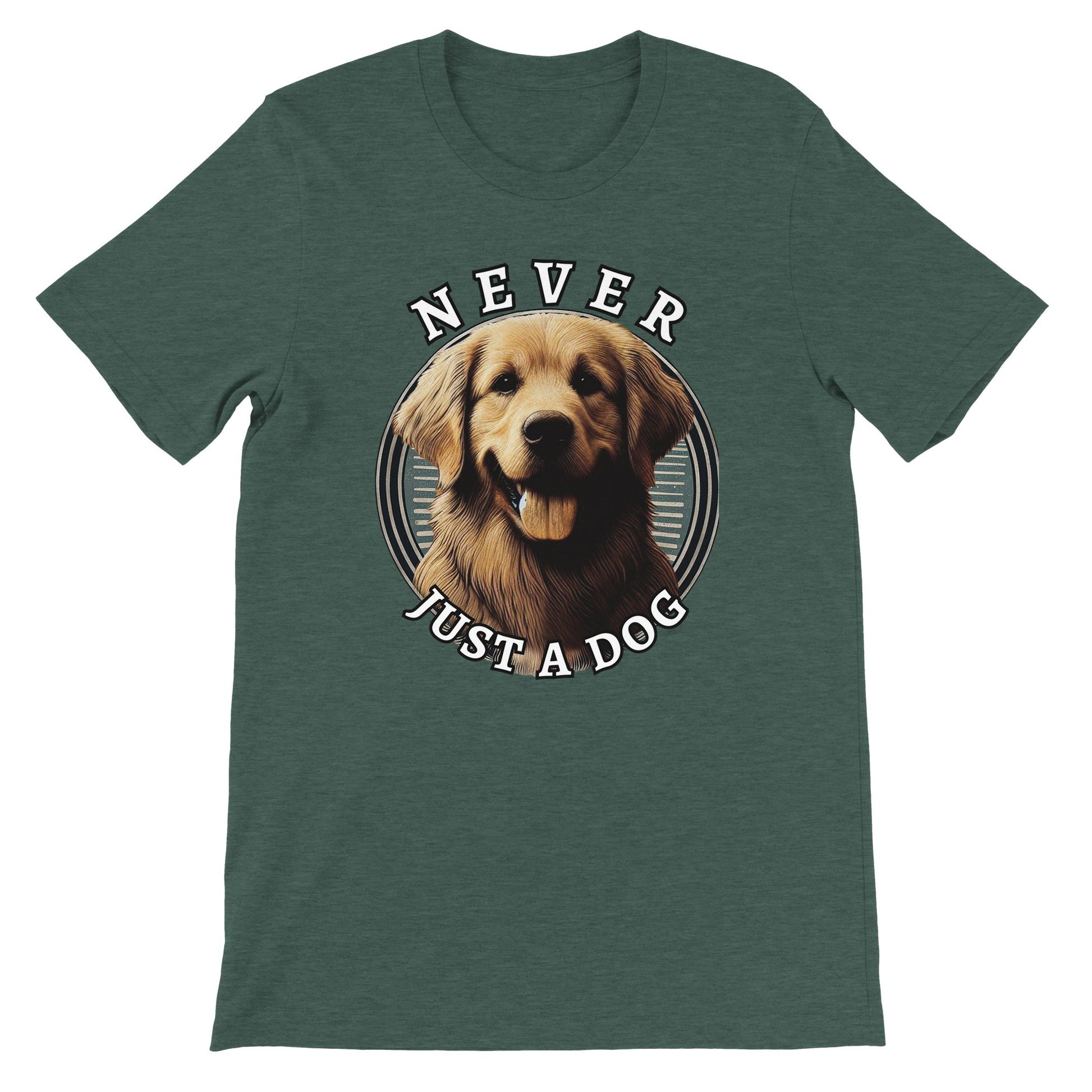 231dcdc8-2648-4b47-b174-871562ff68e1