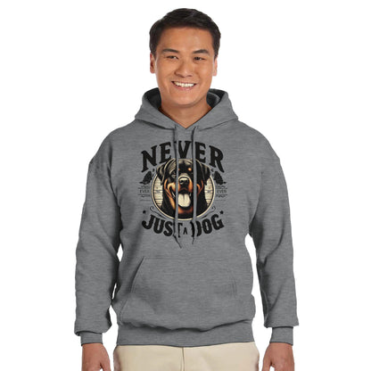 24135b63-e738-4b13-ad69-cfe745a8c4f5