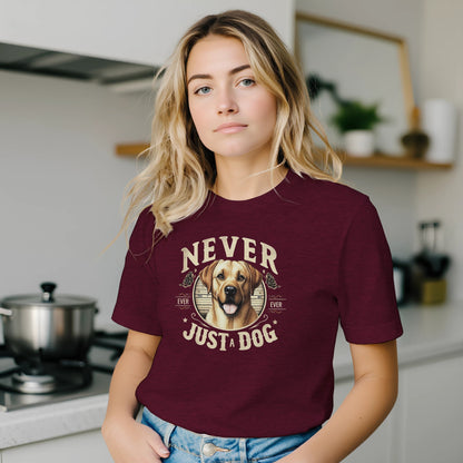 243540f7-4f9a-4852-b507-1a8287fe4c63