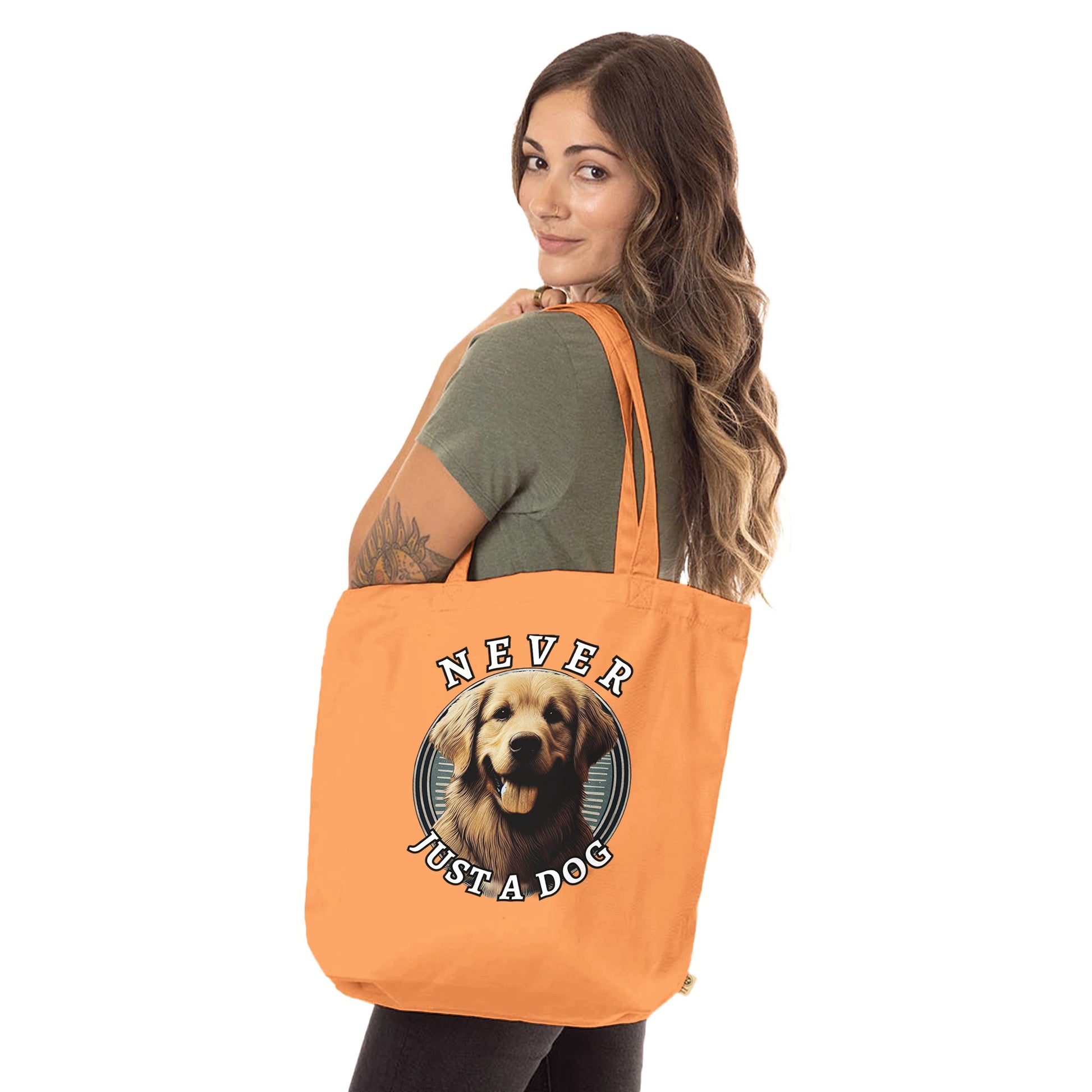 26ee2956-a3a3-4cf2-bfdc-25e828c336d2