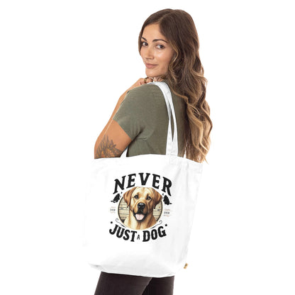 27455e29-cc2f-4869-89db-abd6a2e44cef