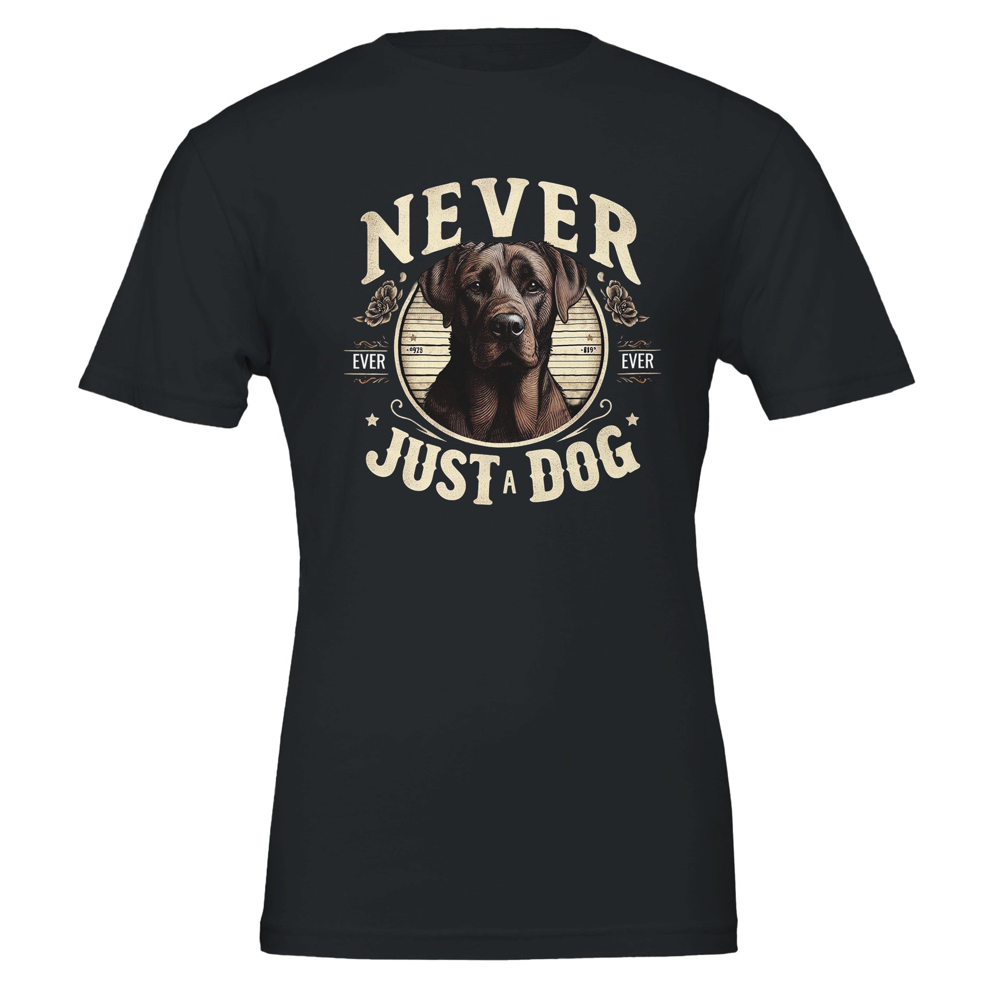 27e28204-a94e-4841-ba1c-5cceb93b086b