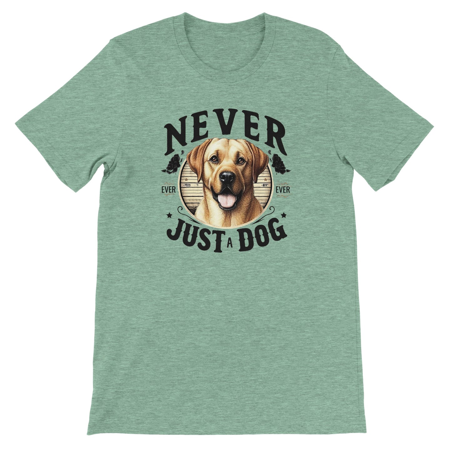 283b95e4-0c59-44dd-9dac-9c75acc73539