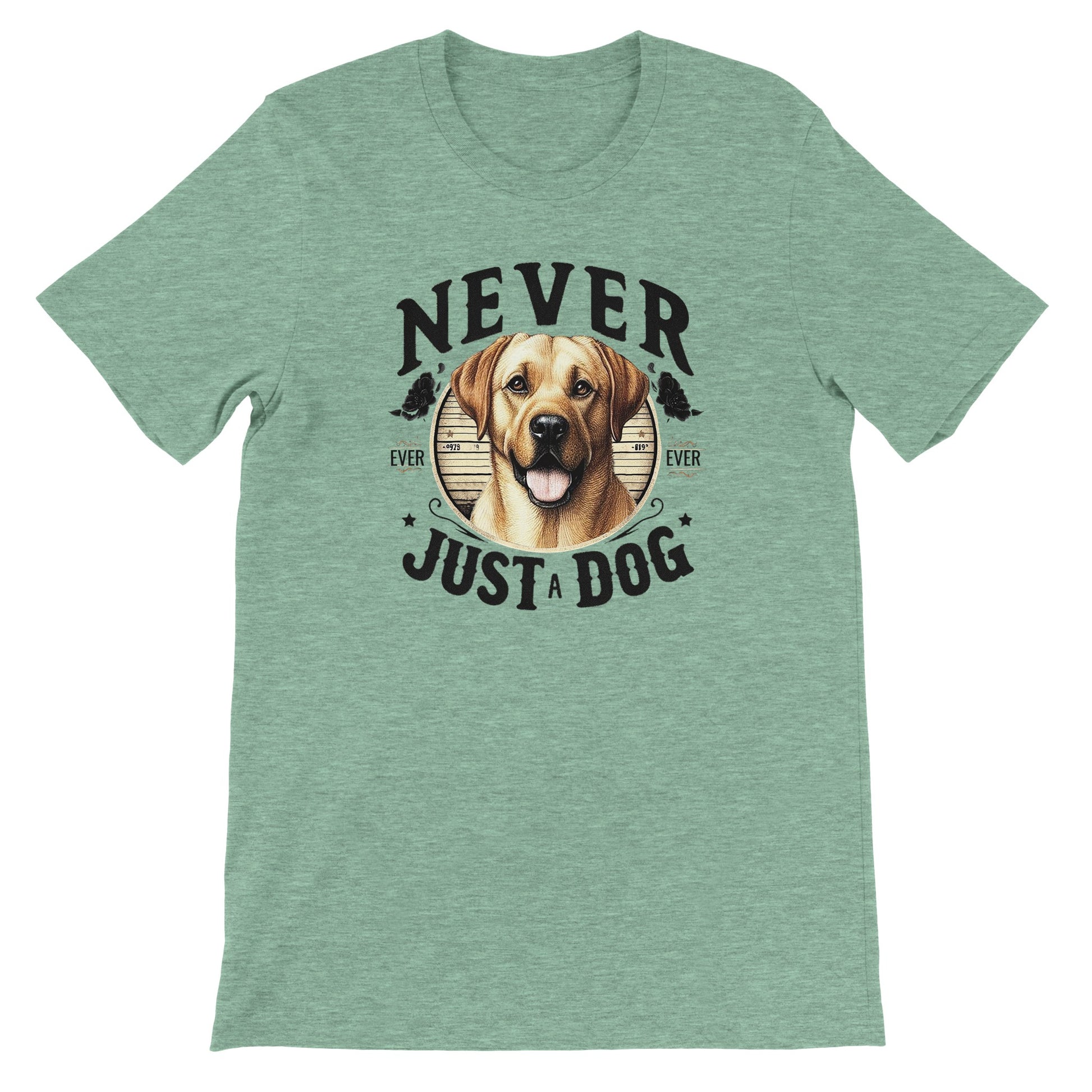 283b95e4-0c59-44dd-9dac-9c75acc73539