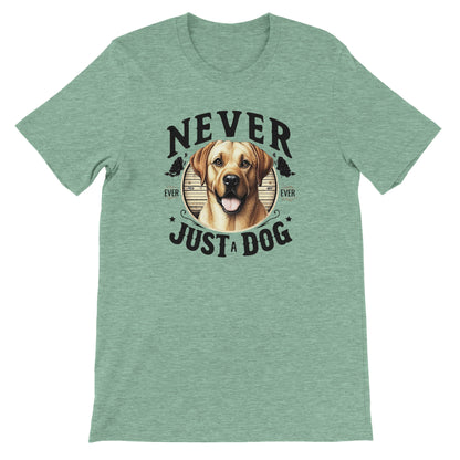 283b95e4-0c59-44dd-9dac-9c75acc73539