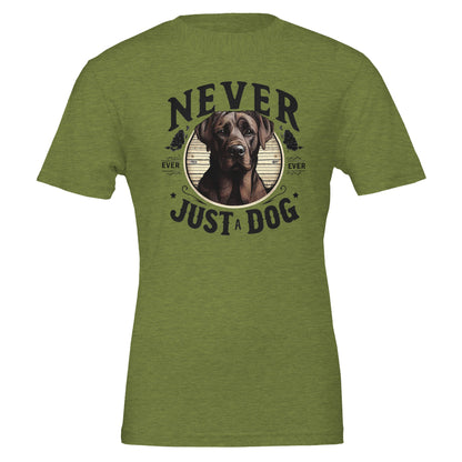 2ec8d9ea-a4fd-4294-a904-5cbb4ca2f8eb