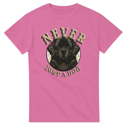 2ee41f5d-fde8-4b18-8e40-5b30ea34538f