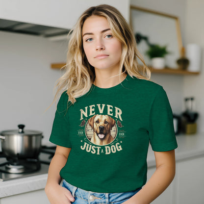 31ef8c02-eaf2-4c4c-8895-4670667e6cd0