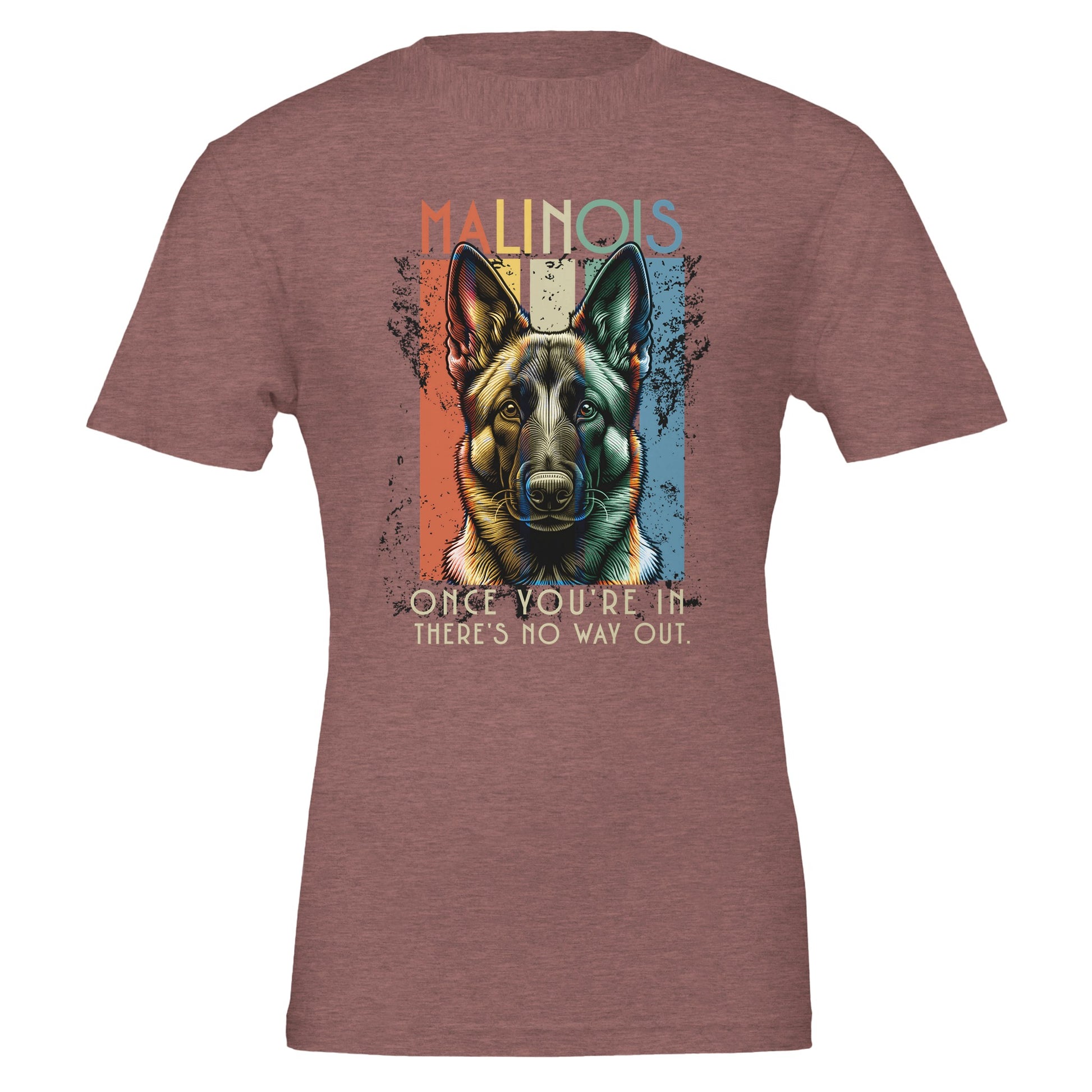 34e7e295-c2db-4799-b793-2c1215550837