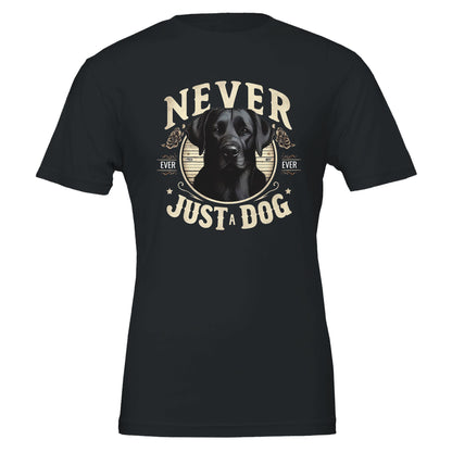 36235505-1343-463c-b105-4c63d50d1ed9