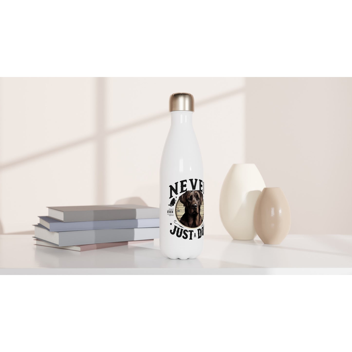 367ddb0b-43ba-4f08-93ce-9d3208d6862c