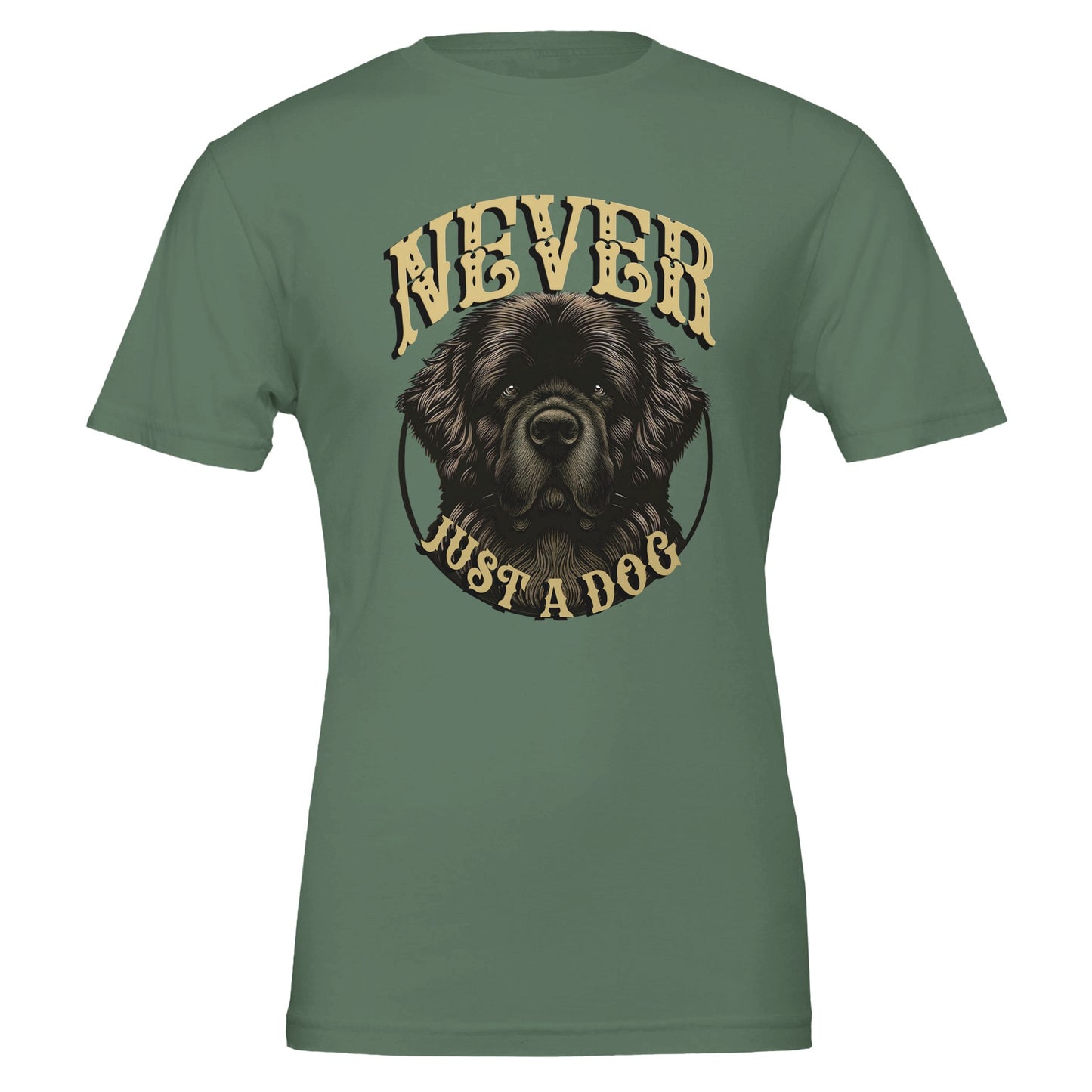 3ace70ff-66af-4e18-893f-c74335439569