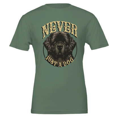 3ace70ff-66af-4e18-893f-c74335439569