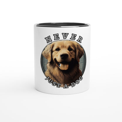 4139ff1d-21ce-409c-8fe2-8cb9f0a2d152