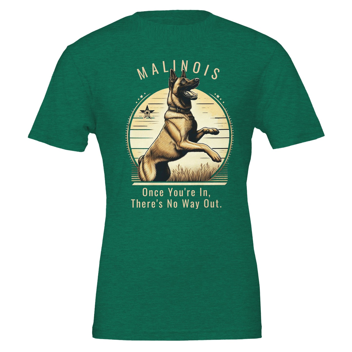 4363d0fc-f873-4ca4-8577-a688bc86c80b