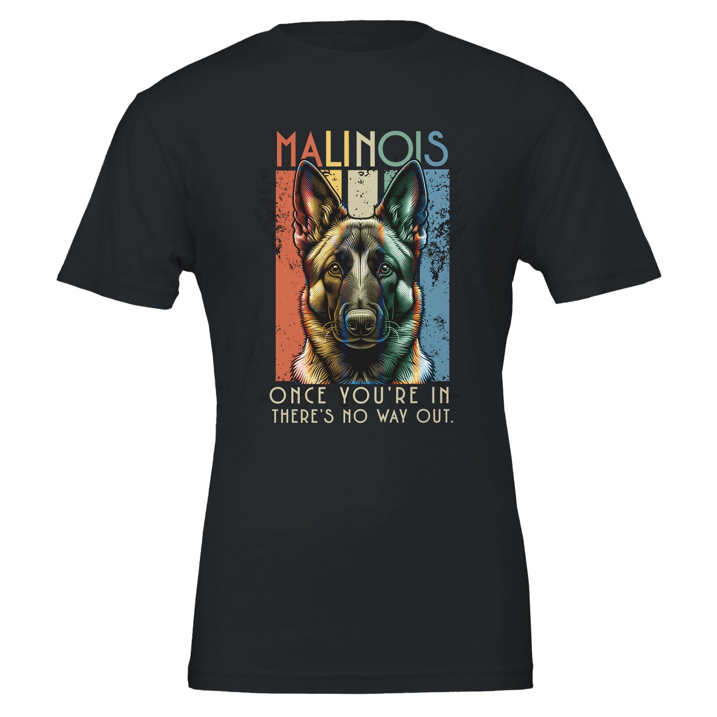 43647851-63da-4bad-a19c-fae770372408