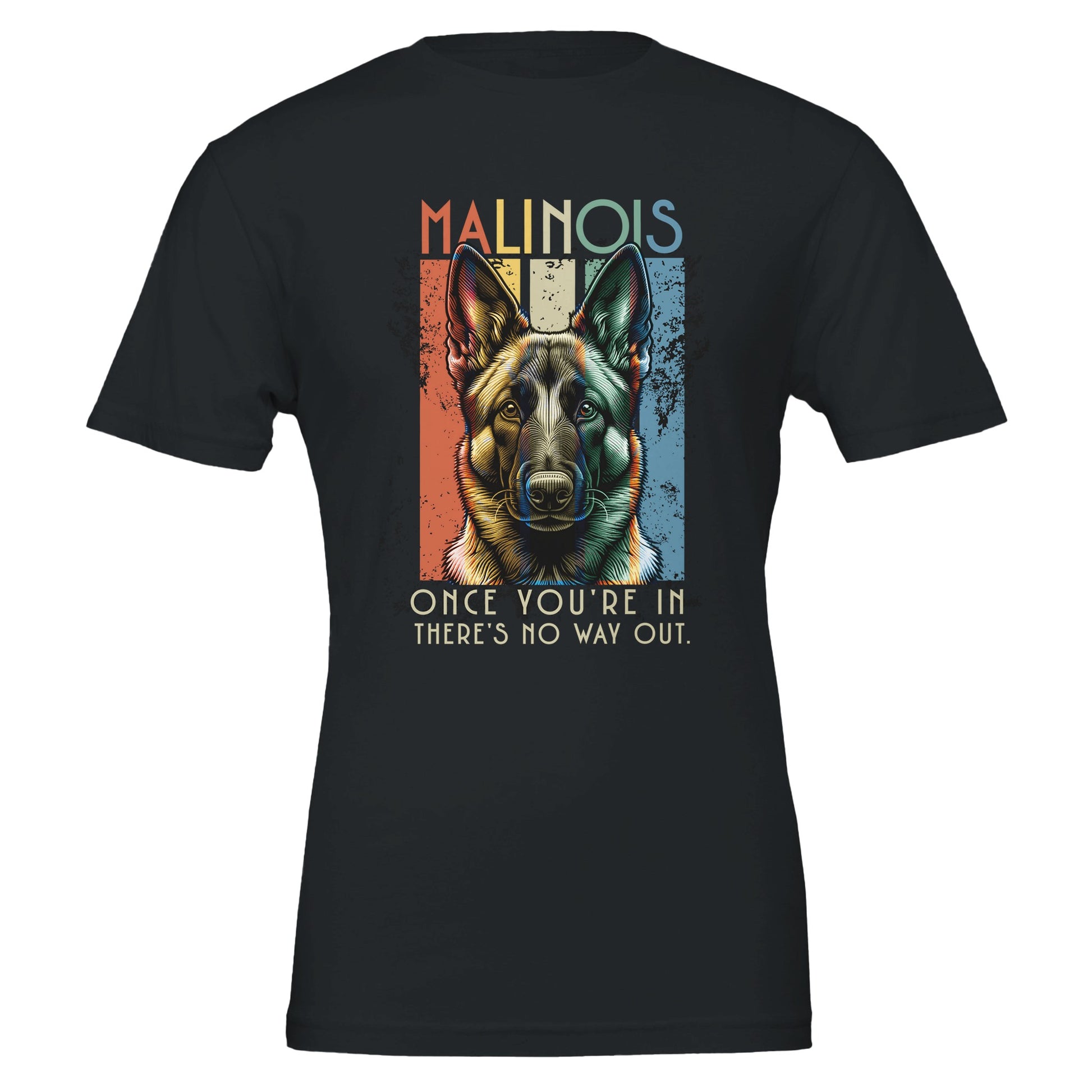 43647851-63da-4bad-a19c-fae770372408