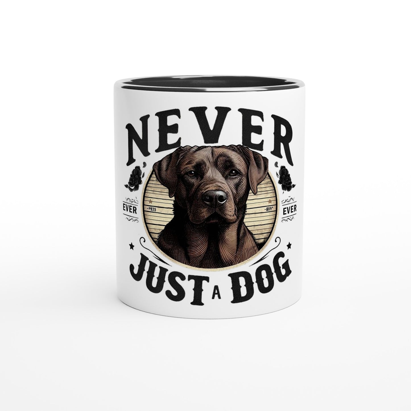 438eb259-051a-4e73-b417-c8314ac1a365