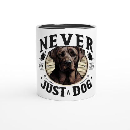 438eb259-051a-4e73-b417-c8314ac1a365