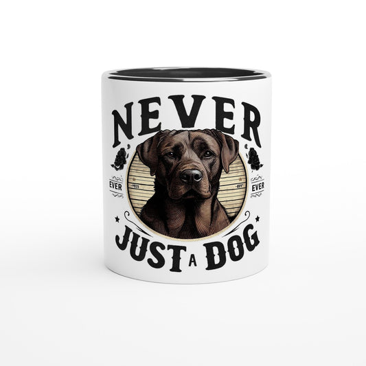 438eb259-051a-4e73-b417-c8314ac1a365