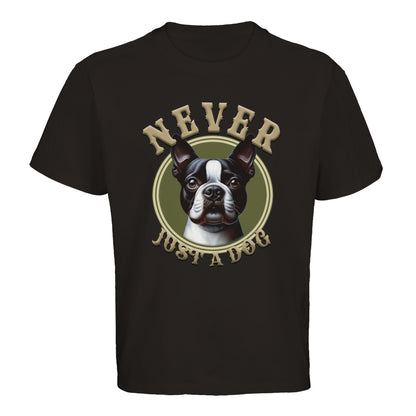 439610db-1f67-49c8-8eb6-487a71c2da59