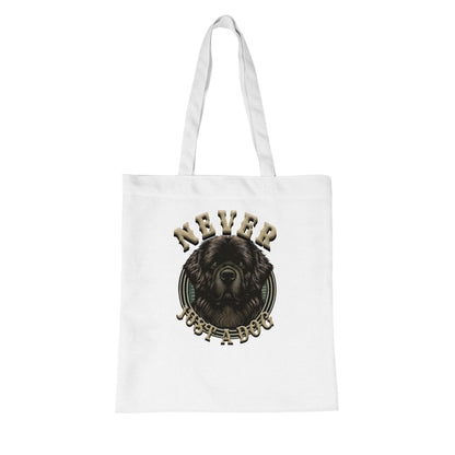 477dbc54-42f9-488c-9572-55dd605f3423