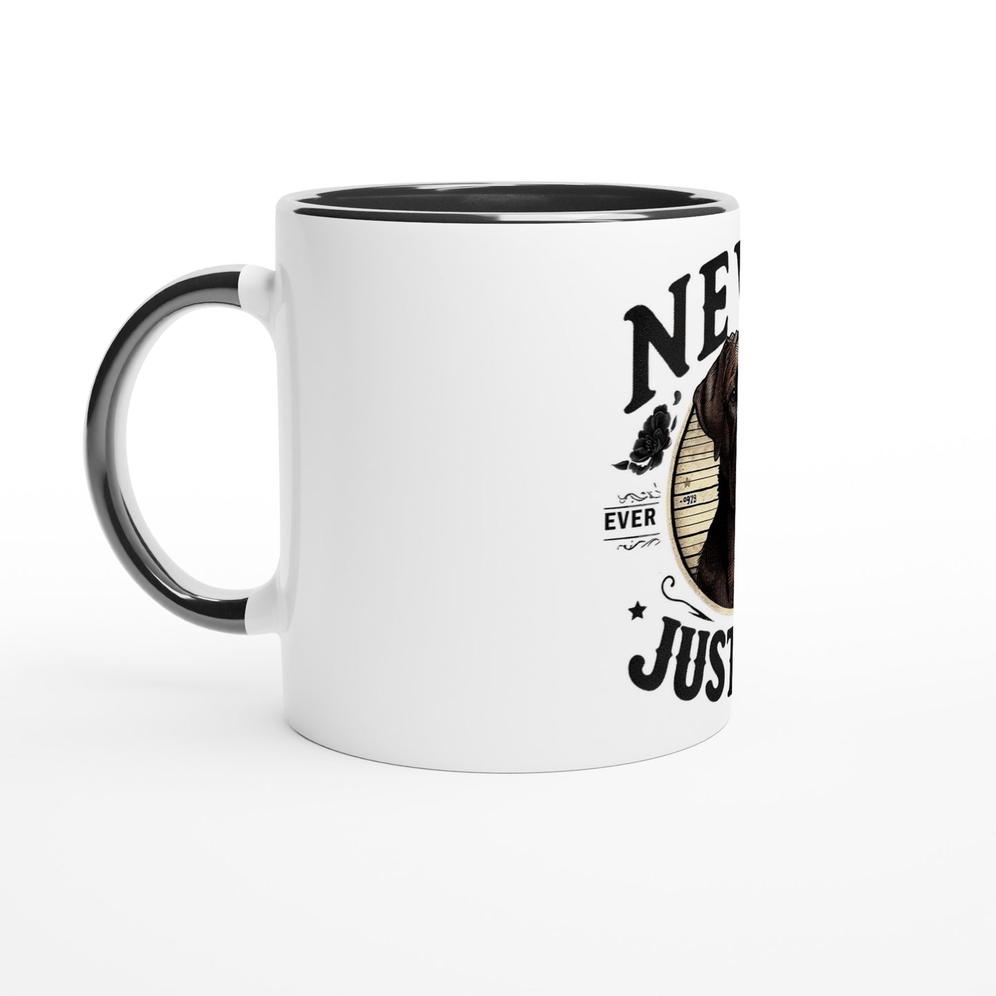 47dd6a91-3c4d-4d25-93e2-dd6a4c2b22ec