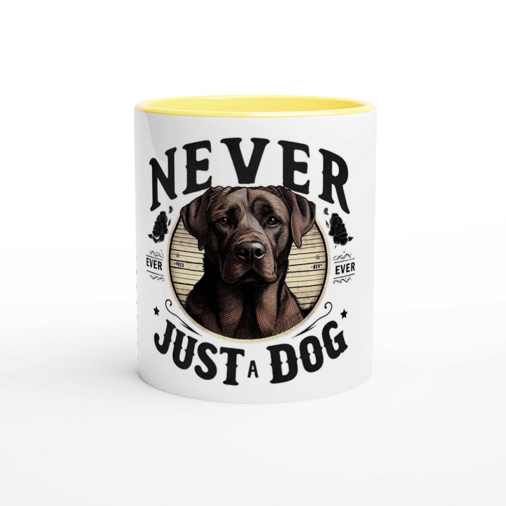 4ff4a910-f914-4374-9e5a-69ed0ce5dbd0