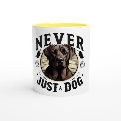 4ff4a910-f914-4374-9e5a-69ed0ce5dbd0