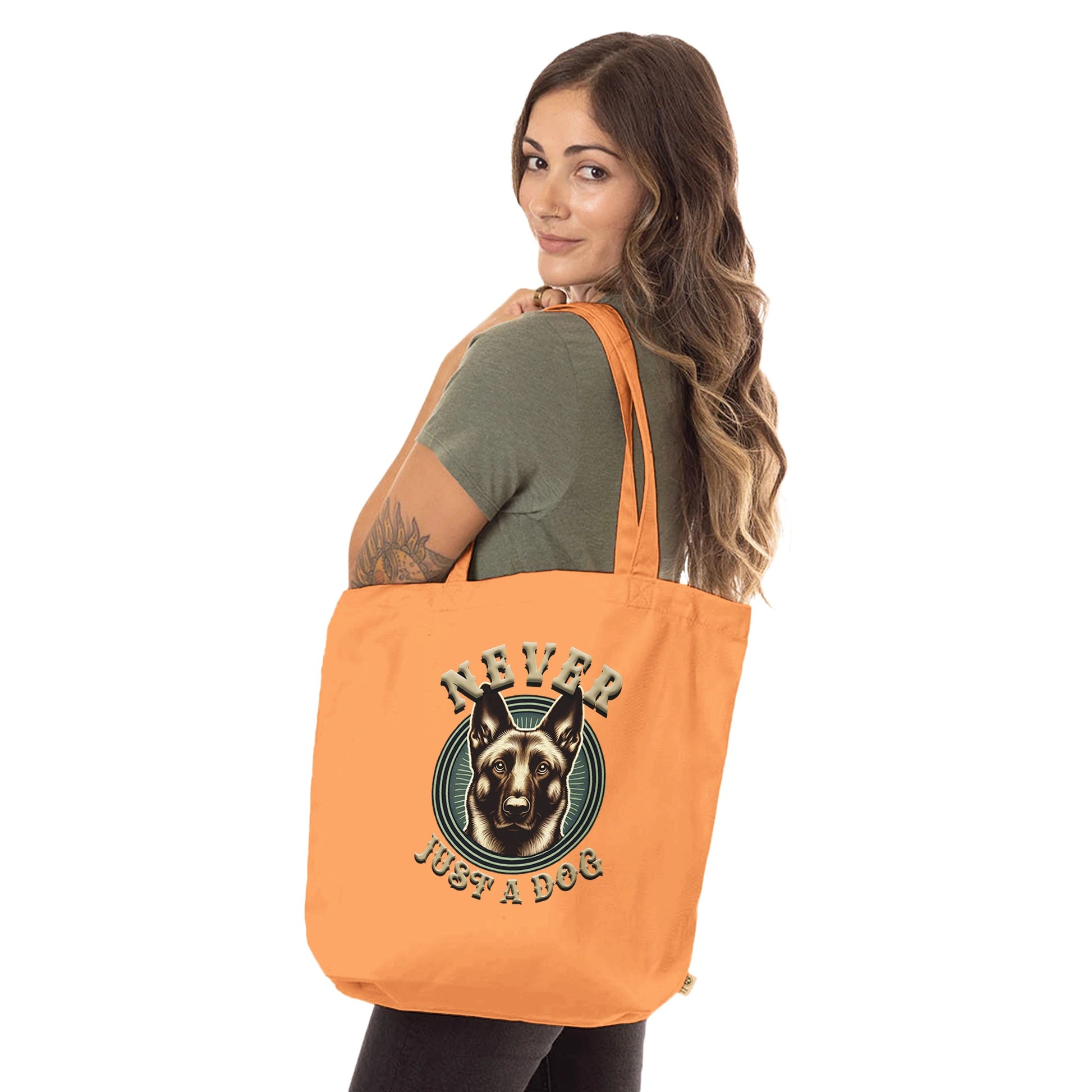 50681f19-1cf6-49a3-a675-4ac1d003dc93