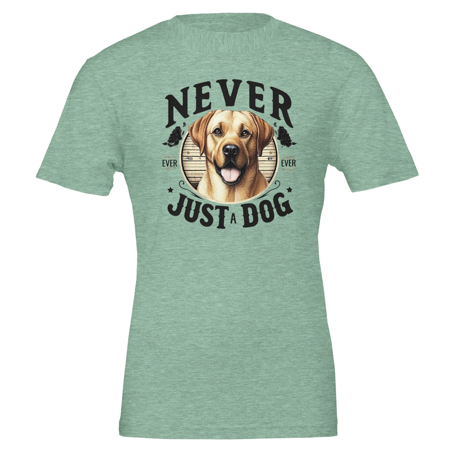 513a0994-164b-4f5c-a681-a66b7bfaa87a