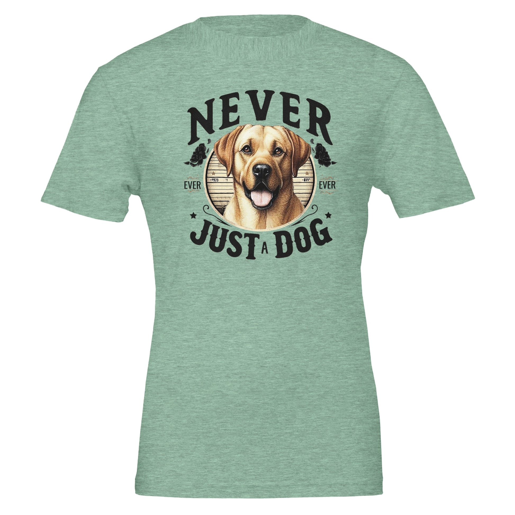 513a0994-164b-4f5c-a681-a66b7bfaa87a